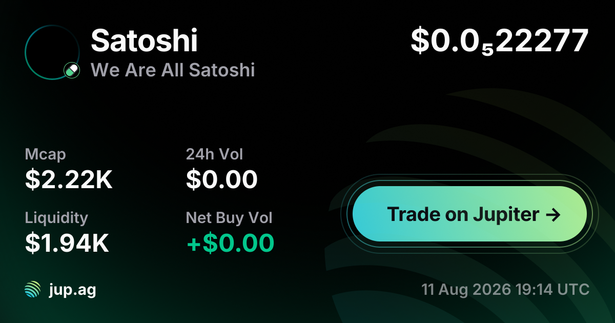 We Are All Satoshi Price Today SATOSHI To USD Live Price Chart 